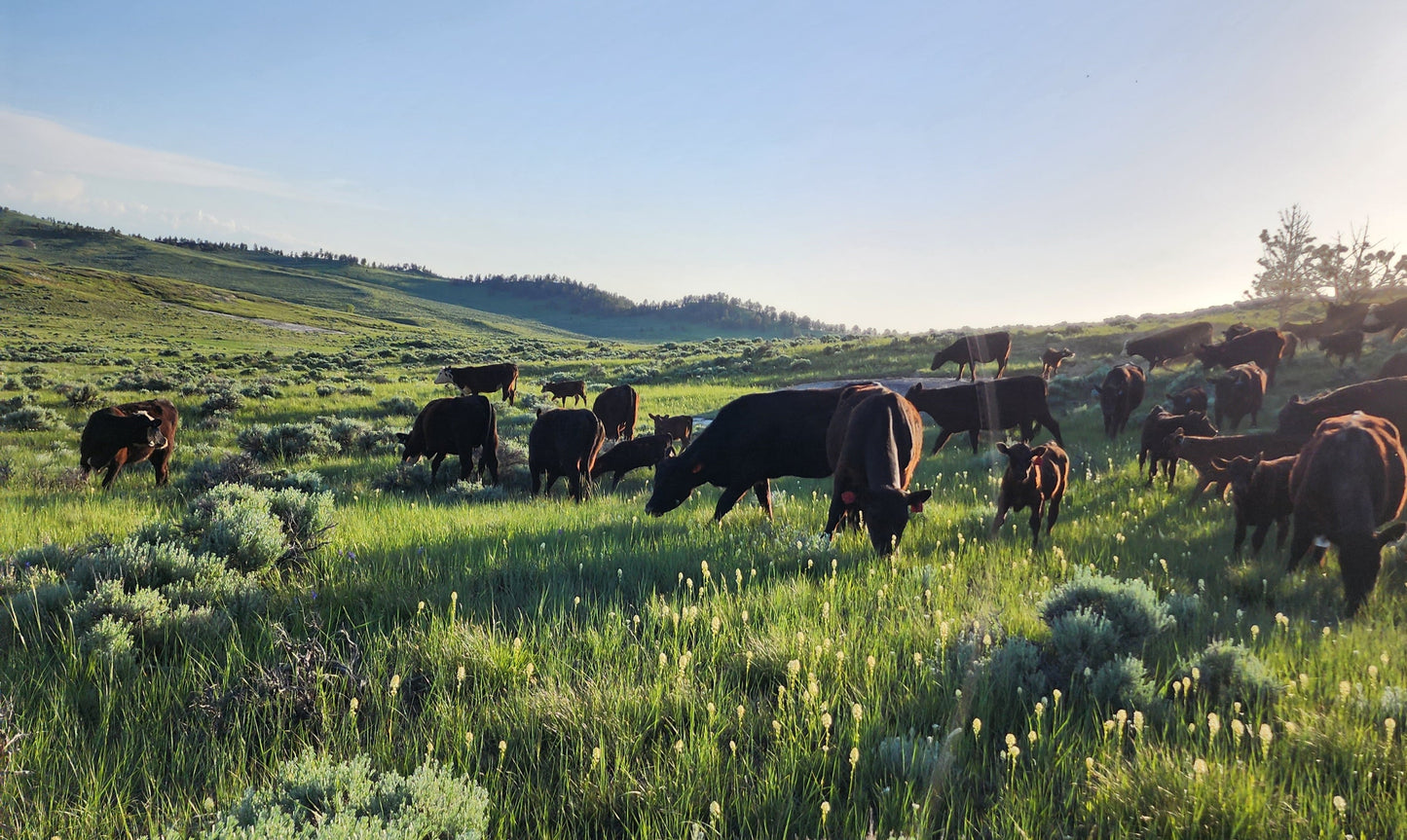 Cattle Club Beef Box  (8-10 lbs.)