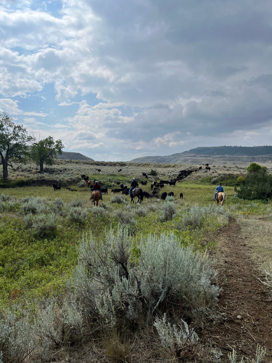 How to buy beef directly from a ranch