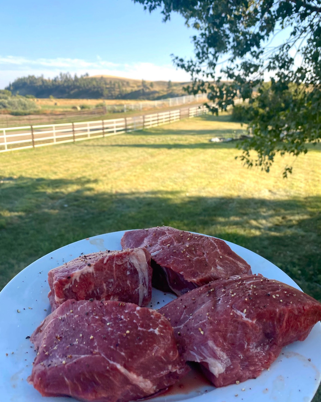 2 Filet Mignon (6-8 oz each)